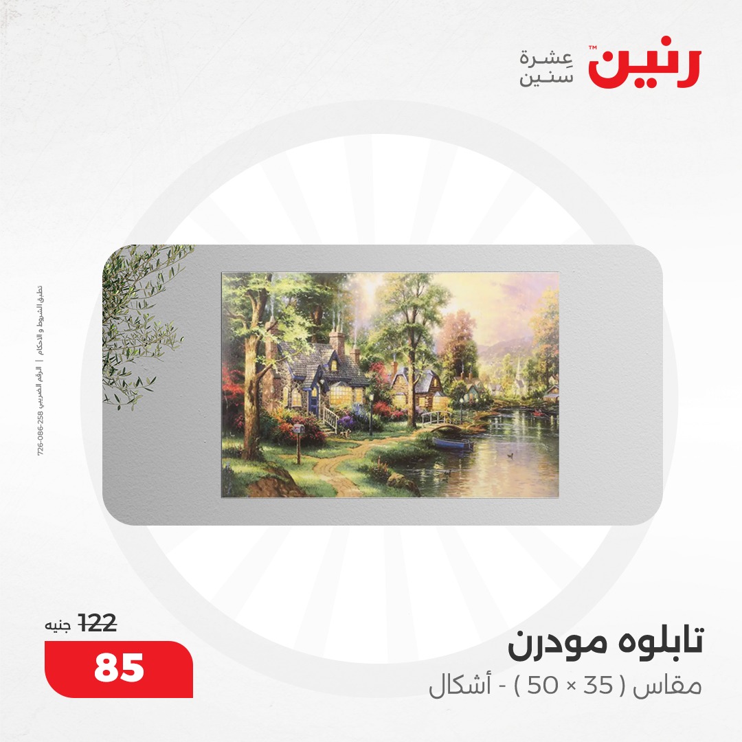 raneen offers from 10dec to 11dec 2024 عروض رنين من 10 ديسمبر حتى 11 ديسمبر 2024 صفحة رقم 9